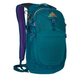 Gregory NANO 20 PLUS Tagesrucksack ICON TEAL