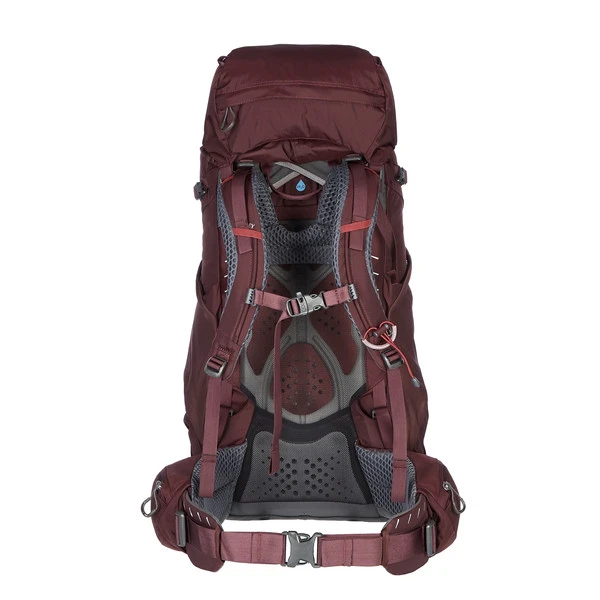 Osprey KYTE 58 Damen Trekkingrucksack Damen ELDERBERRY PURPLE 5 Osprey KYTE 58 Damen Trekkingrucksack Damen ELDERBERRY PURPLE – Bild 3